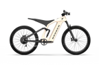 Bronco Ebike