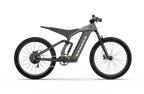 Bronco Ebike