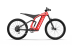 Bronco Ebike