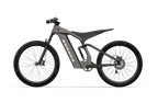 Bronco Ebike