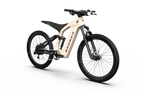 Bronco Ebike