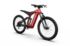 Bronco Ebike