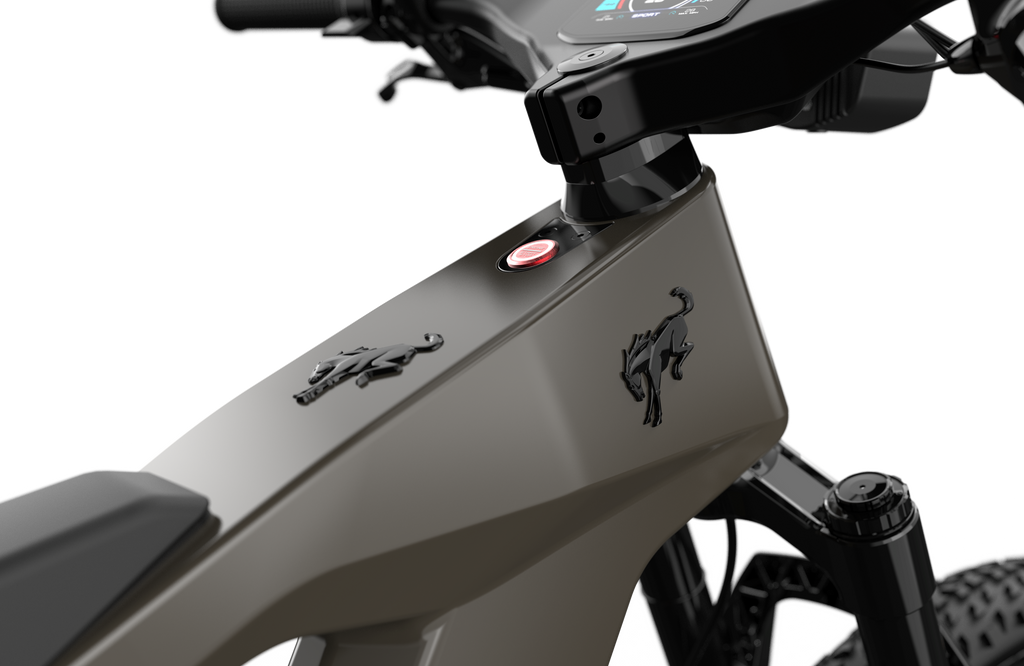 Bronco Ebike