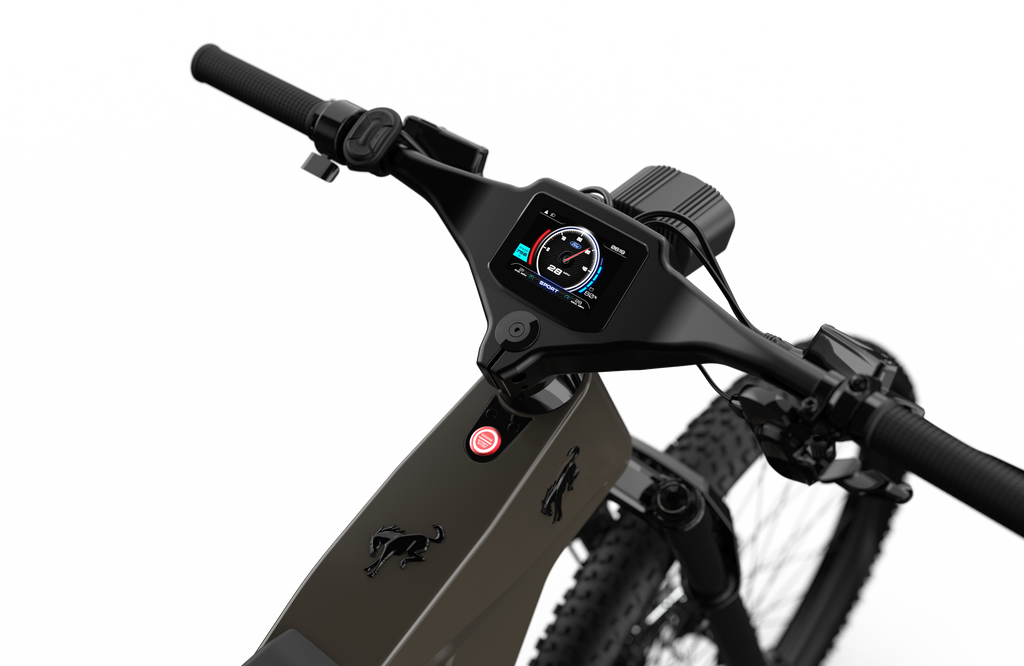 Bronco Ebike