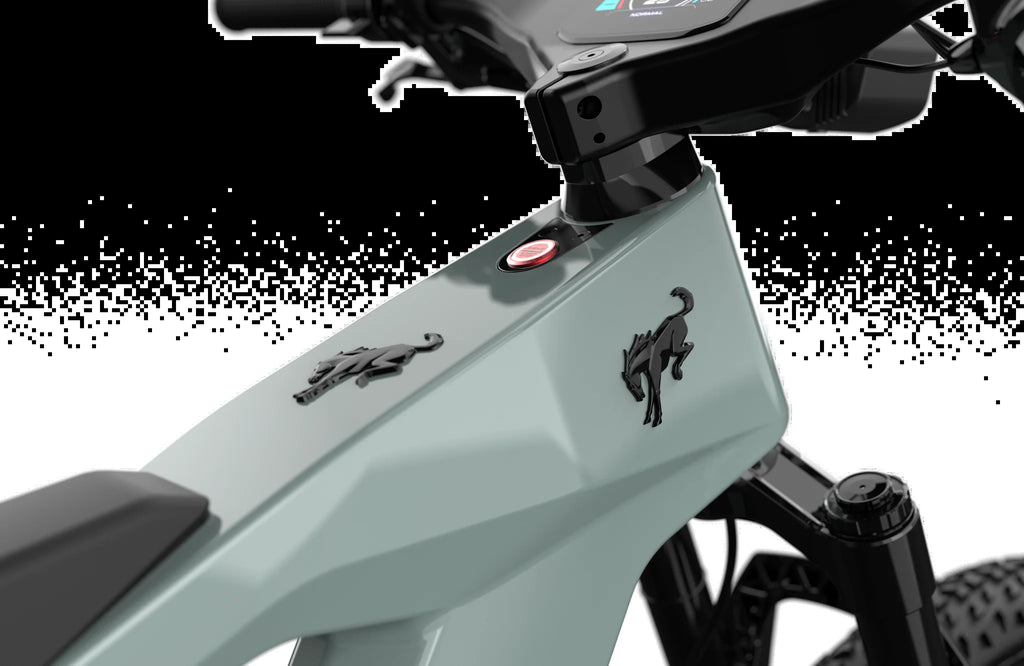Bronco Ebike
