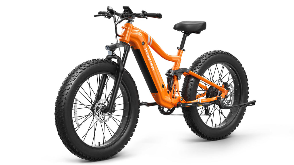 Boxer Ebike