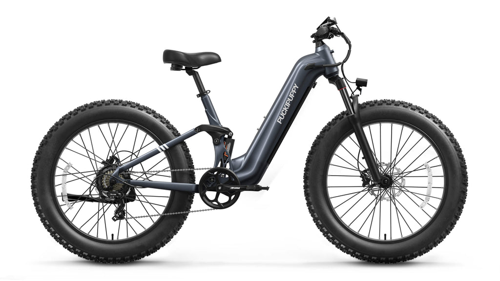 Boxer ST Ebike