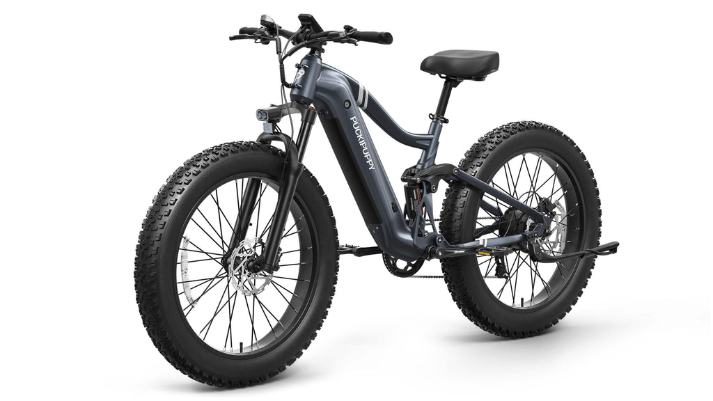 Boxer Ebike