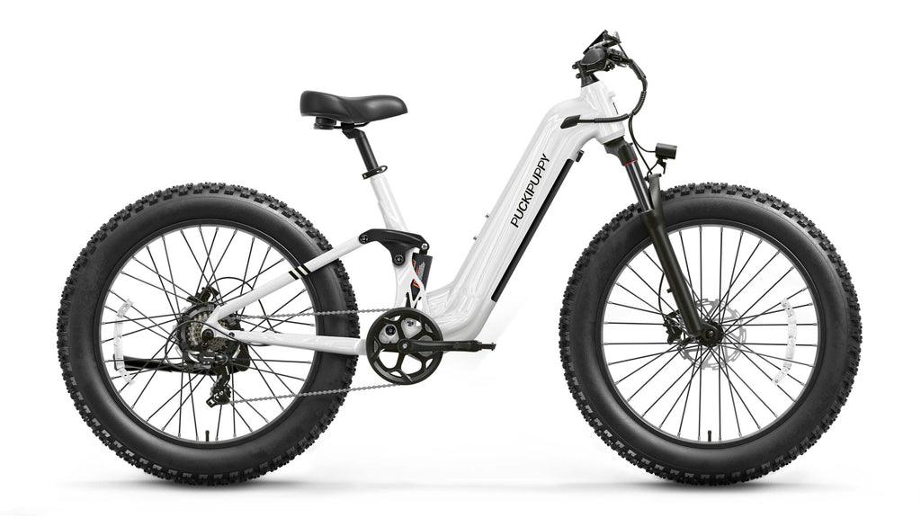 Boxer ST Ebike