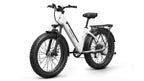 Samoyed Ebike