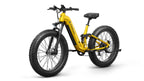 Boxer ST Ebike