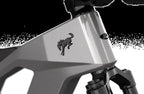 Bronco Ebike