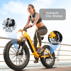 Boxer ST Ebike