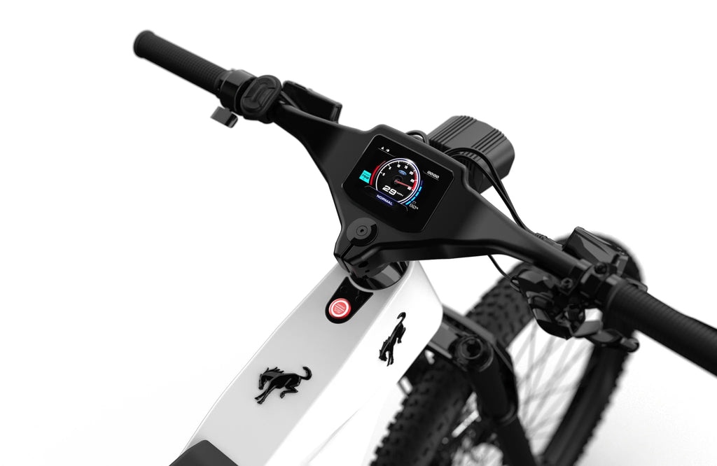 Bronco Ebike