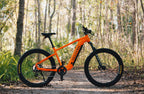 Summit 1 Ebike