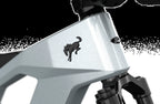 Bronco Ebike