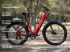 Discover 2 Ebike