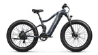 Boxer Ebike