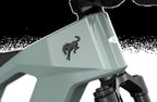 Bronco Ebike