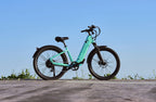 Discover 1 plus Ebike