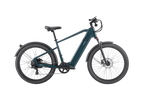 Discover 1 plus Ebike