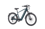 Discover 1 plus Ebike