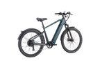 Discover 1 plus Ebike