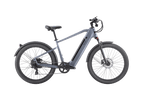 Discover 1 plus Ebike