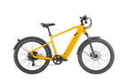 Discover 1 plus Ebike