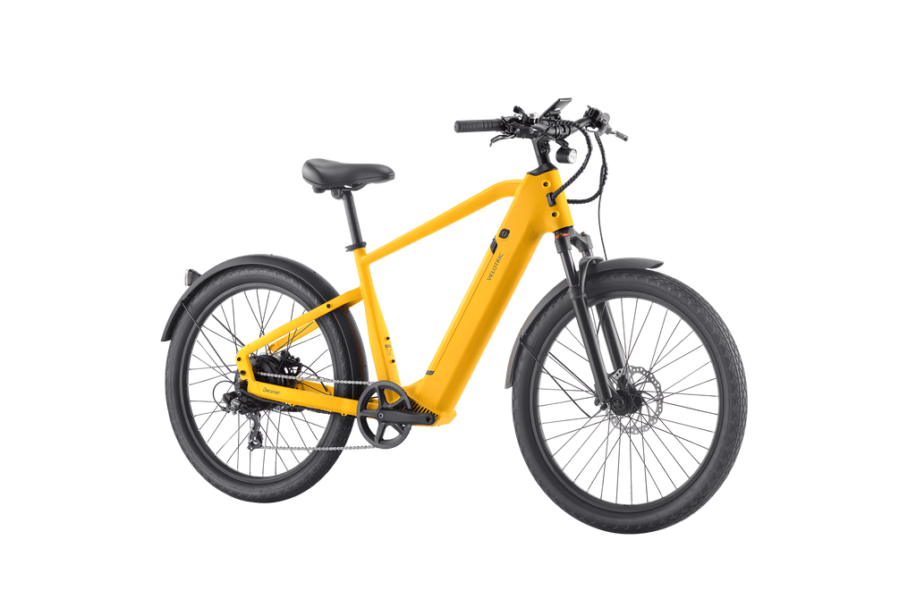 Discover 1 plus Ebike