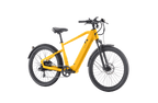 Discover 1 plus Ebike