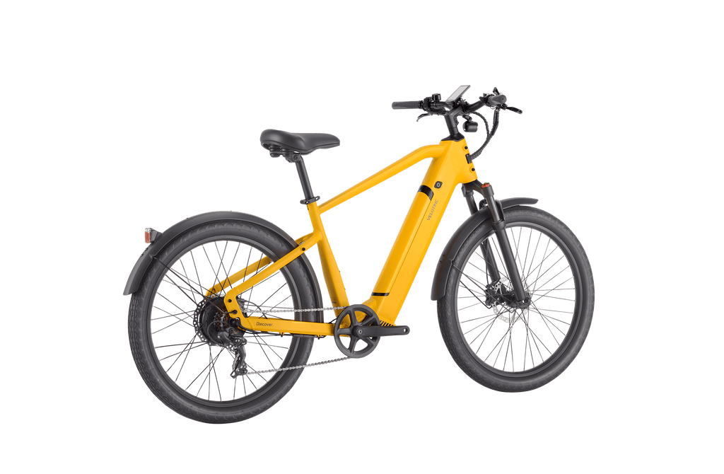 Discover 1 plus Ebike