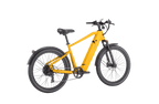 Discover 1 plus Ebike