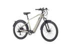 Discover 1 plus Ebike