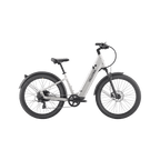 Discover 1 plus Ebike