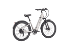Discover 1 plus Ebike