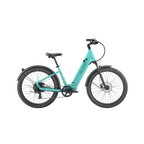 Discover 1 plus Ebike