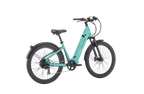 Discover 1 plus Ebike