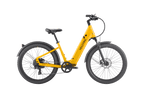 Discover 1 plus Ebike