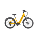 Discover 1 plus Ebike