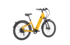 Discover 1 plus Ebike