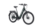 Discover 2 Ebike