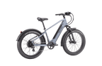 Nomad 1 plus Ebike