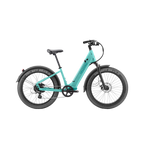 Nomad 1 plus Ebike