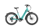 Nomad 1 plus Ebike