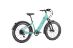 Nomad 1 plus Ebike