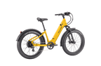 Nomad 1 plus Ebike