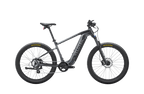 Summit 1 Ebike