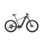 Summit 1 Ebike