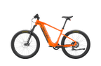 Summit 1 Ebike